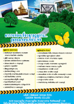 Design Print Brochure in Phuket